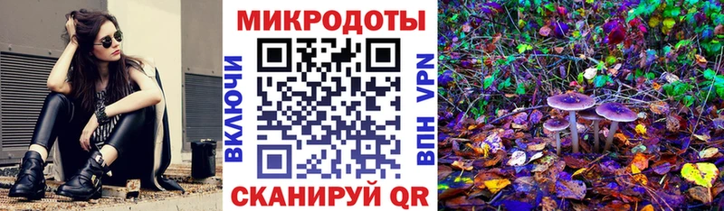 Псилоцибиновые грибы Magic Shrooms  Кадников 
